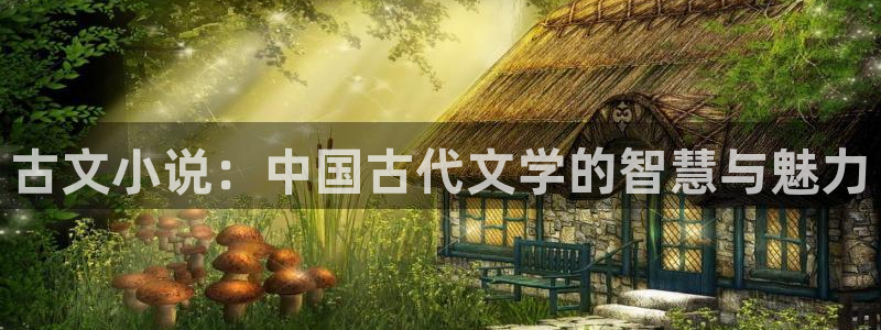 七猫猫免费阅读小说
